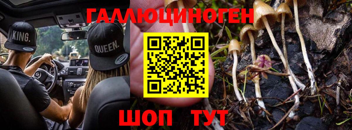 Галлюциногенные грибы ЛСД  Псилоцибиновые грибы GOLDEN TEACHER  Вход с VPN  Всеволожск 