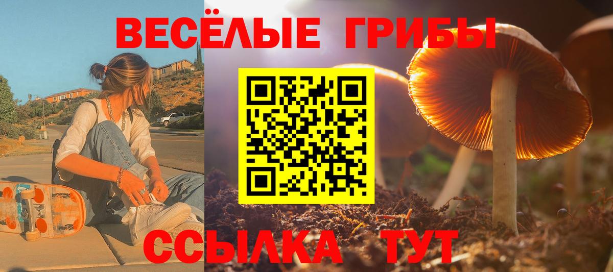 Галлюциногенные грибы GOLDEN TEACHER Всеволожск